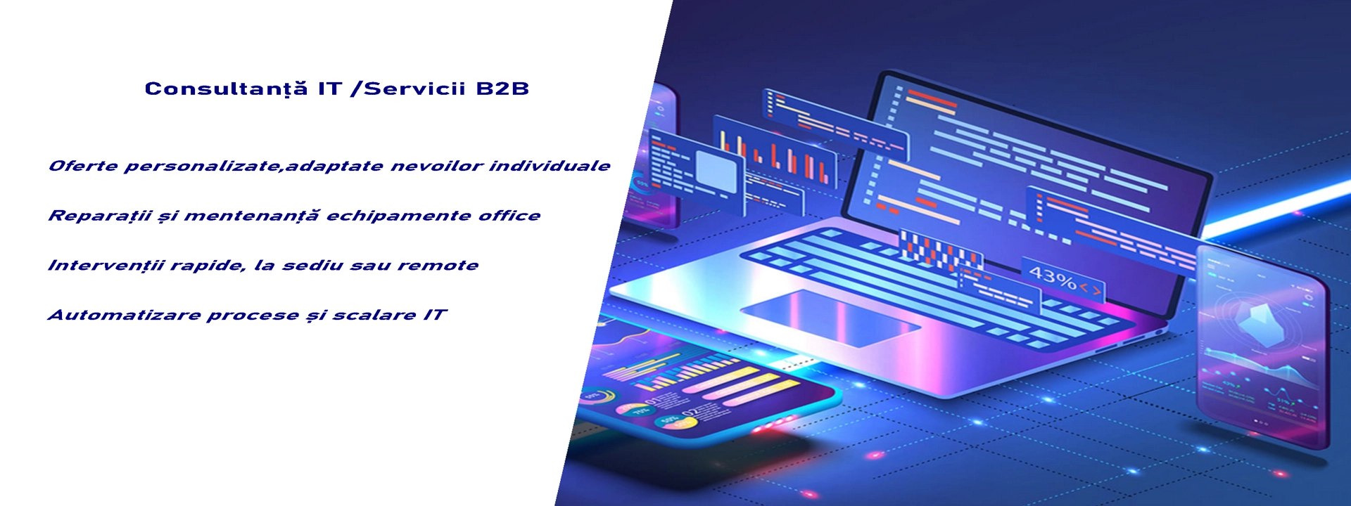 descriere servicii IT pentru companii și servicii B2B-România